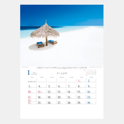 ̾���쥫������TD-653 �����γڱ�������µ����ʽ���