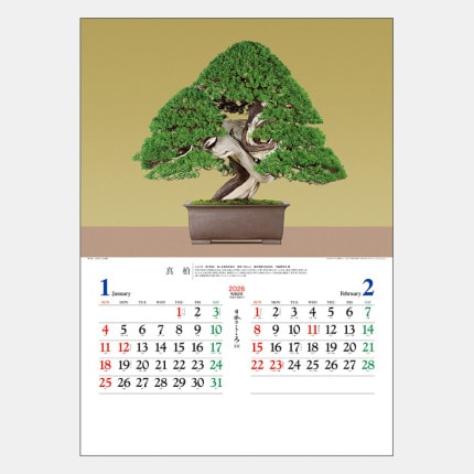 ̾쥫TD-721 ܤΤߺϡ