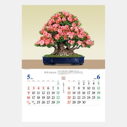 ̾���쥫������TD-721 ���ܤΤ����������ߺϡ�