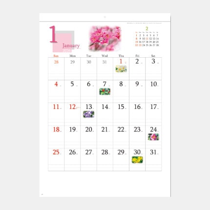 ̾쥫YG-12 ͵β֤褦 (SG-293)