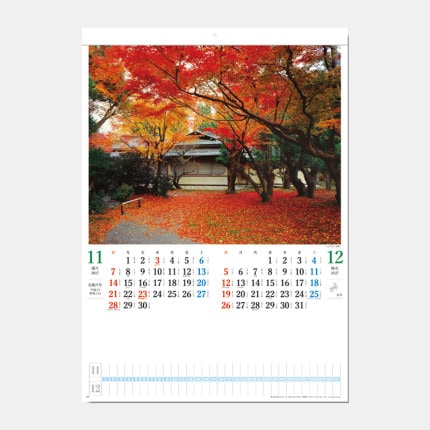 ̾���쥫������SG-203 ���ܤ������ʥ�����ա�