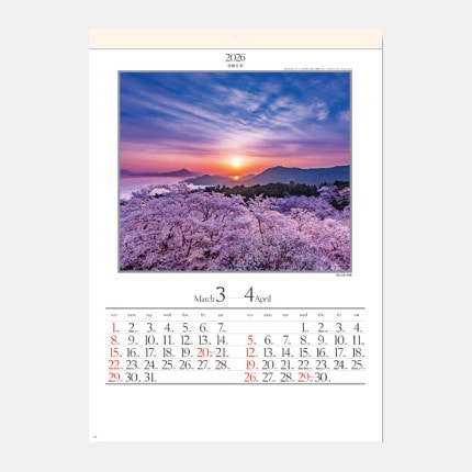 ̾쥫SG-207 ͵ϻ