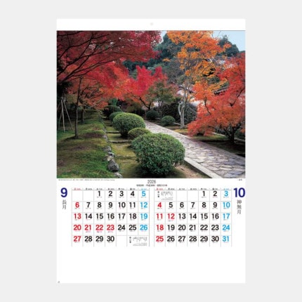 ̾���쥫������YG-6 ���Ԥ�̾��