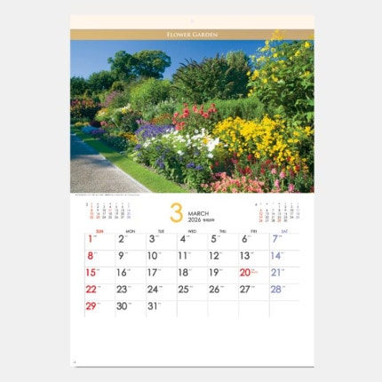 ̾쥫YG-11 եǥ (SG-468)