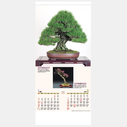 ̾���쥫������YG-24 �ü�(�ߺϡ�