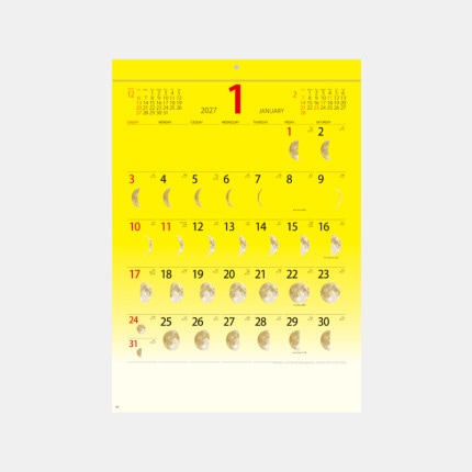 ̾���쥫������YG-58 ��å����ࡼ��ʣ�����