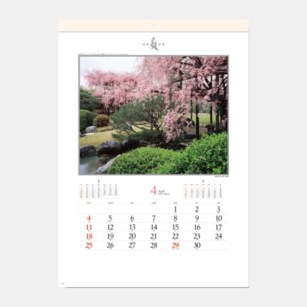 ̾���쥫������SG-264 �����͵�����