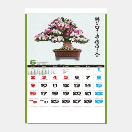 ̾���쥫������SG-278 �����������ߺϡ�