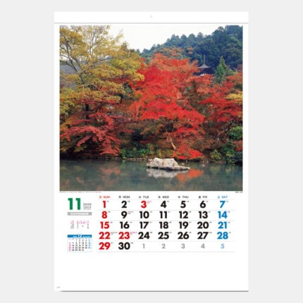 ̾���쥫������SG-455 �ս�����