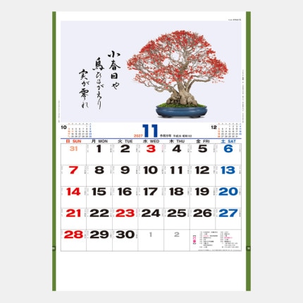 ̾���쥫������TD-665 �ߺϰ��ʽ�