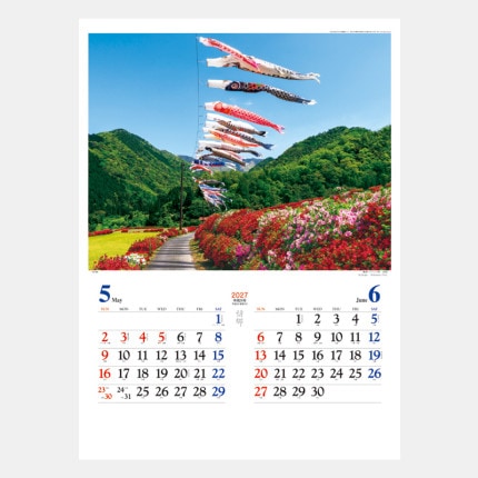 ̾���쥫������TD-700 ����