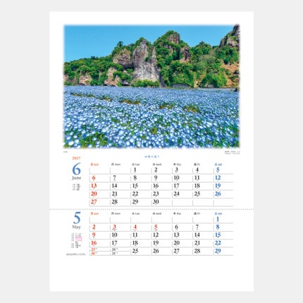 ̾���쥫������TD-702 �͵��ι�ꡡ2����ߥ���������