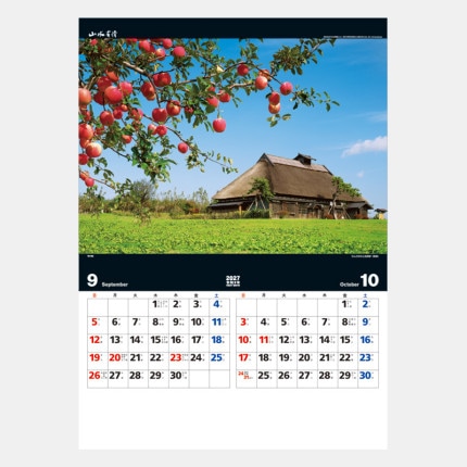 ̾���쥫������TD-703 ����ͭ��