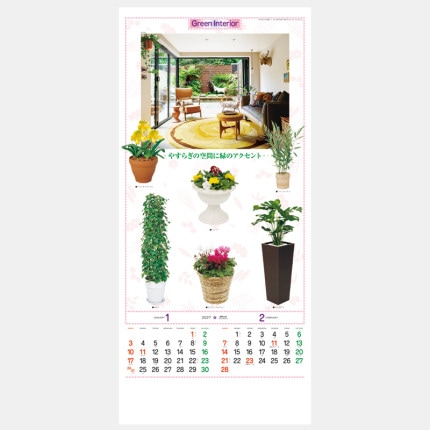 ̾���쥫������TD-782 ���տ�ʪ