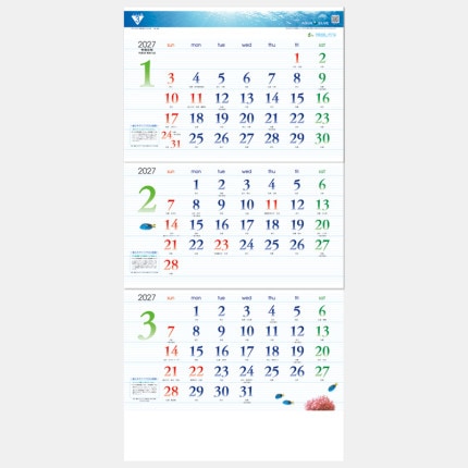 ̾���쥫������TD-788 ���������֥롼3����eco ���夫��祿���ס�