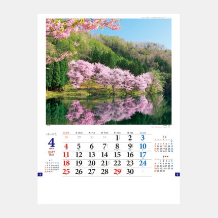 ̾���쥫������TD-800 ���ܤ�ι��