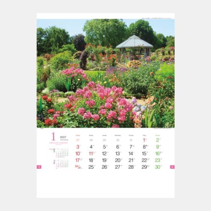 ̾���쥫������TD-825 ���󥰥�å��塦�����ǥ󡦥��쥯�����