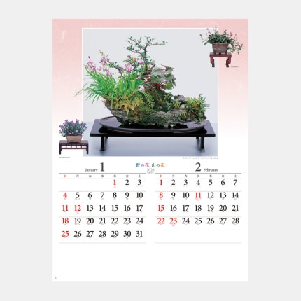 ̾쥫NK-46 β֡β֡ʻߺϽ