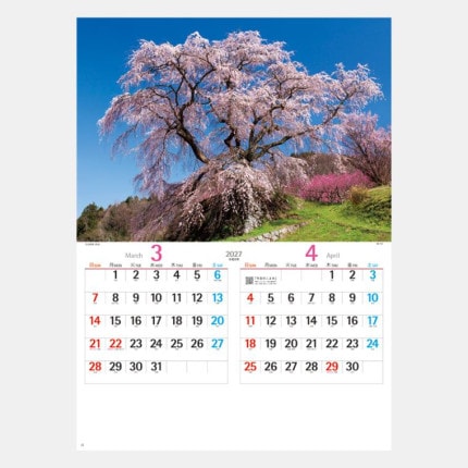 ̾���쥫������NK-110 ����������