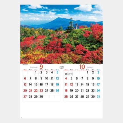 ̾쥫NK-110 