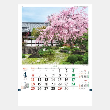 ̾���쥫������TD-647 ��������