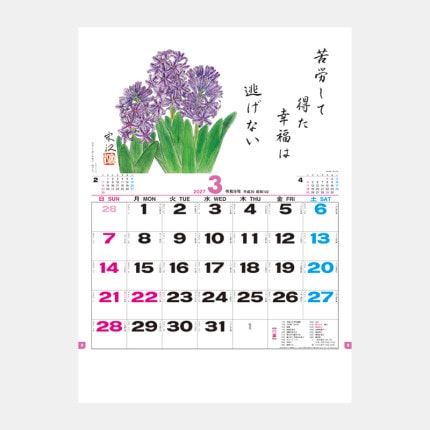 ̾���쥫������TD-851 �֤����