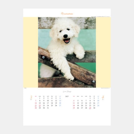 ̾���쥫������TD-933 ������ɥå������쥤�����롦�إ�����ʽ���
