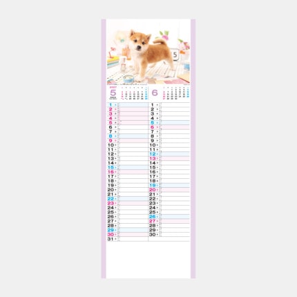 ̾���쥫������TD-997 ������
