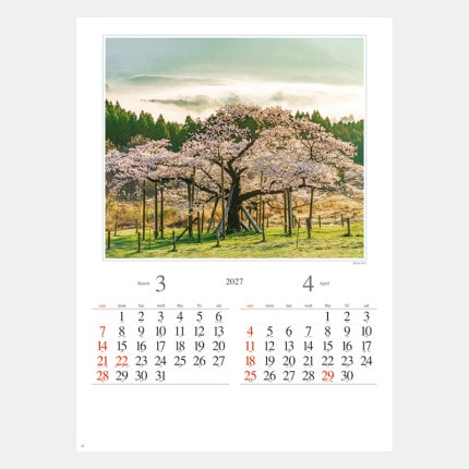 ̾���쥫������NK-115 �͵���ī