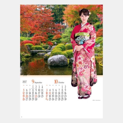 ̾���쥫������NK-118 �ߤ�ӡ��������������������