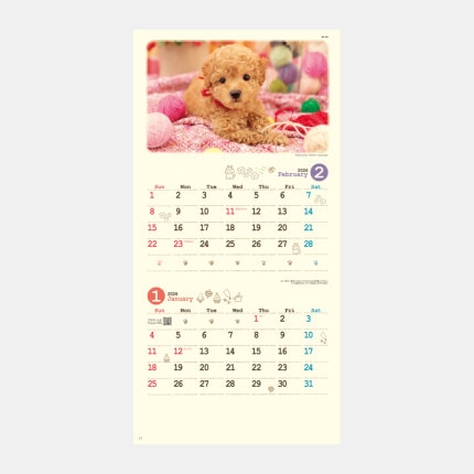 ̾���쥫������NK-434 �ʥ����롡�ɥå�