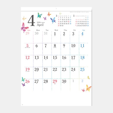 ̾���쥫������SG-2911 ����ե�Х��ե饤