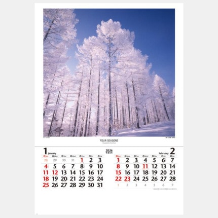 ̾쥫NK-407 ͵ĿĹʽʥե)