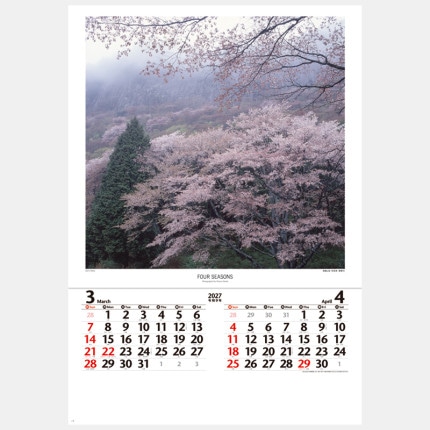 ̾���쥫������NK-407 �͵������Ŀ��������Ĺ����ʽ����ʥե����)
