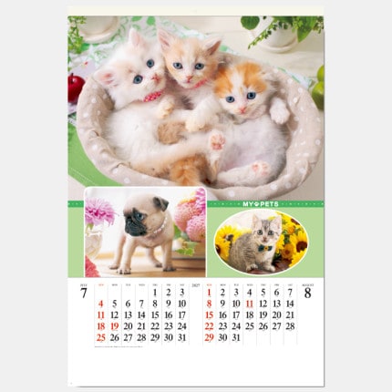 ̾���쥫������SG-543 �ޥ��ڥå�