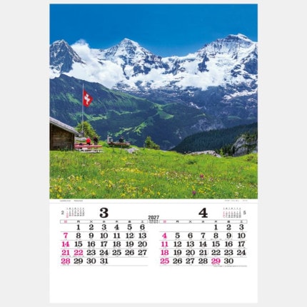 ̾���쥫������TD-520 �ե���ࡡ������