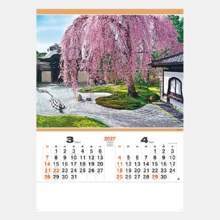 ̾���쥫������NA-120 ���ۡʥ���å�����