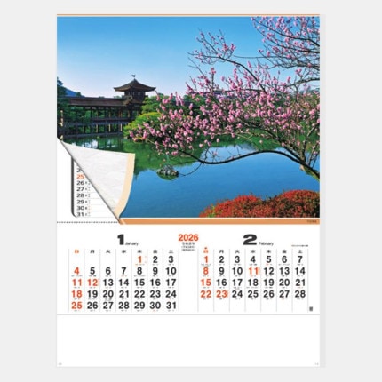 ̾���쥫������NA-120 ���ۡʥ���å�����