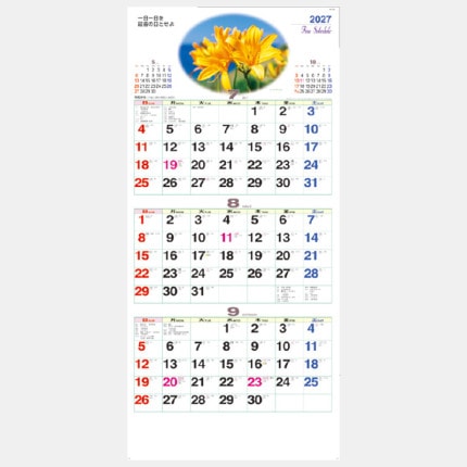 ̾���쥫������NA-139 �ե����󥹥����塼��