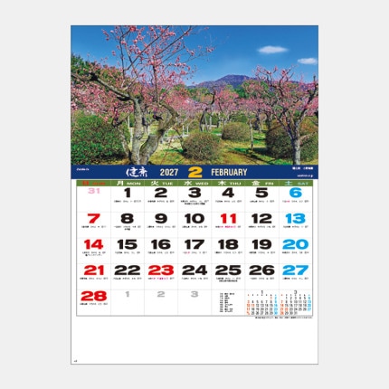 ̾���쥫������SD-3 ���塡������ʸ����