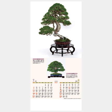 ̾���쥫������SD-22 �ü������ߺϡ�YK-624��