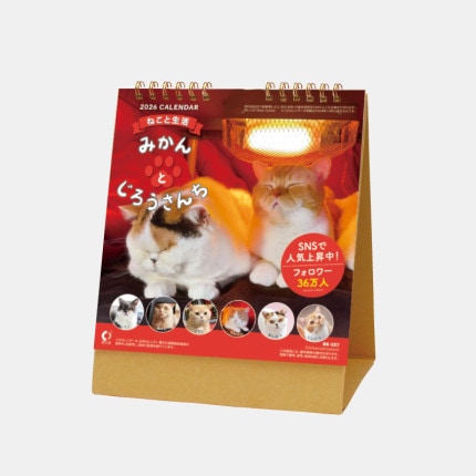 ̾���쥫������NK-527 ��塡�ͤ������衡�ߤ���Ȥ����������