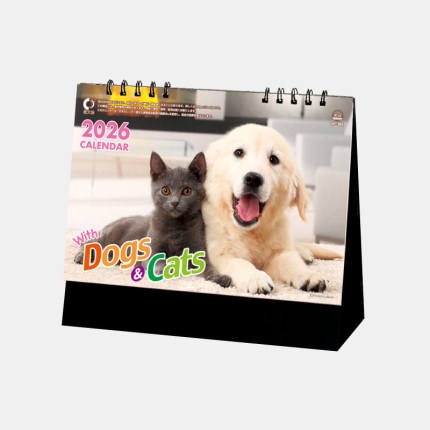 ̾���쥫������SP-302 �������ɥå�������å�