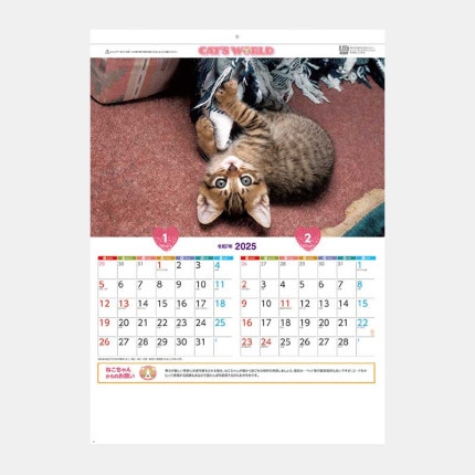 ̾���쥫������SA-344 ����åĥ��ɡ�ǭ�����