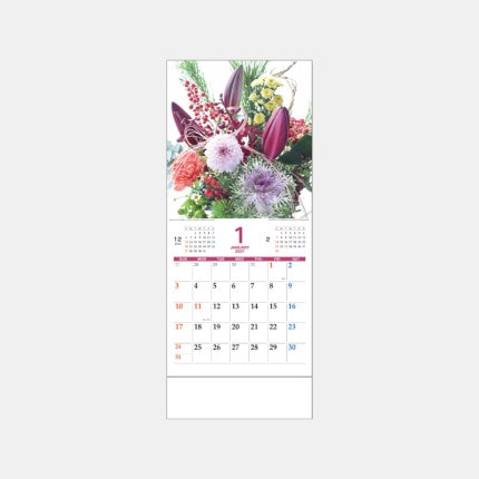 ̾���쥫������JT-5 �ե��ޥ󥹥꡼