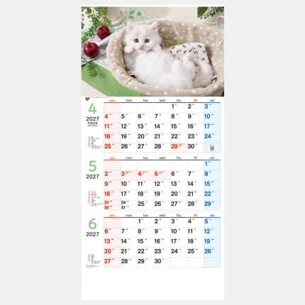 ̾���쥫������TD-775 ���˥�󣳥��-�夫��祿����-