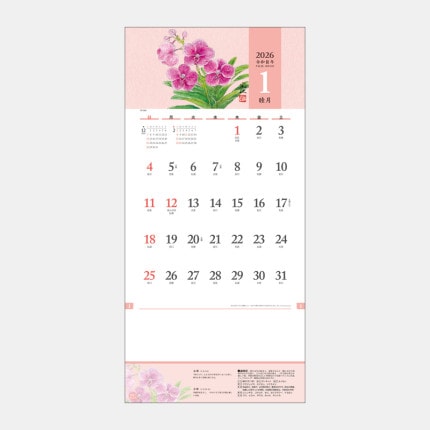 ̾쥫TD-969 β֤