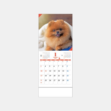 ̾���쥫������JT-3 �ɥå��ޥ󥹥꡼