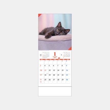 ̾���쥫������JT-4 ����åĥޥ󥹥꡼