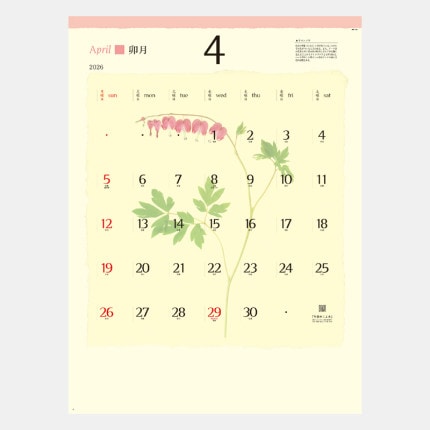 ̾���쥫������NK-144 �ץ쥹���ե�